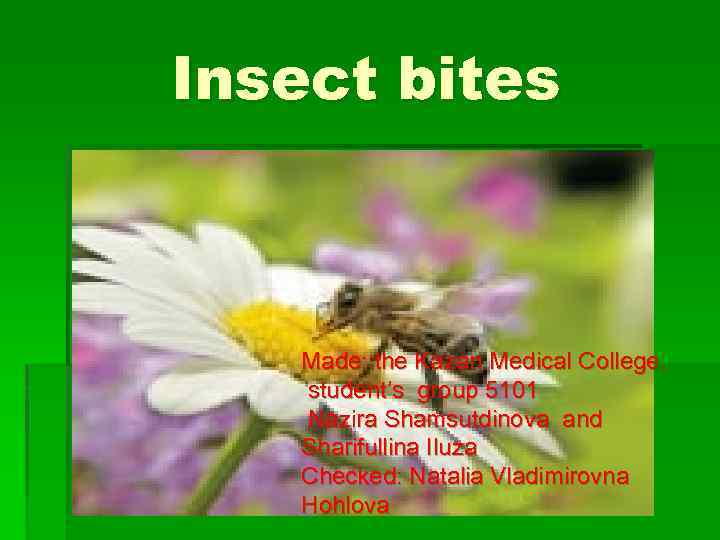 Insect bites Made: the Kazan Medical College, student’s group 5101 Nazira Shamsutdinova and Sharifullina
