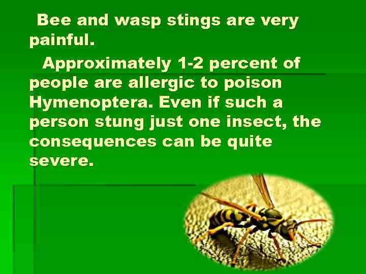 Bee and wasp stings are very painful. Approximately 1 -2 percent of people are