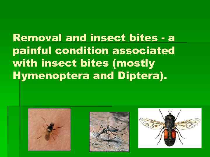 Removal and insect bites - a painful condition associated with insect bites (mostly Hymenoptera
