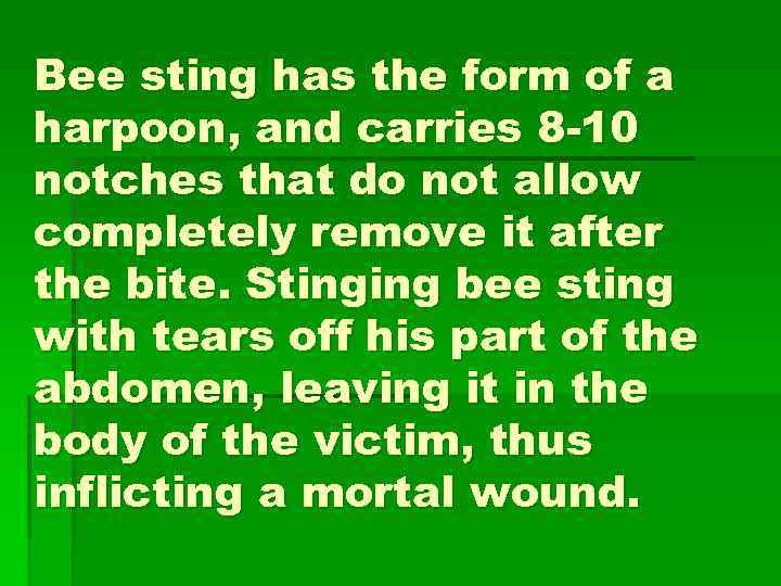 Bee sting has the form of a harpoon, and carries 8 -10 notches that