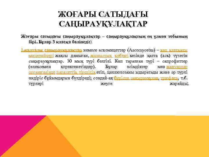 ЖОҒАРЫ САТЫДАҒЫ САҢЫРАУҚҰЛАҚТАР Жоғары сатыдағы саңырауқұлақтар – саңырауқұлақтың ең үлкен тобының бірі. Бұлар 3