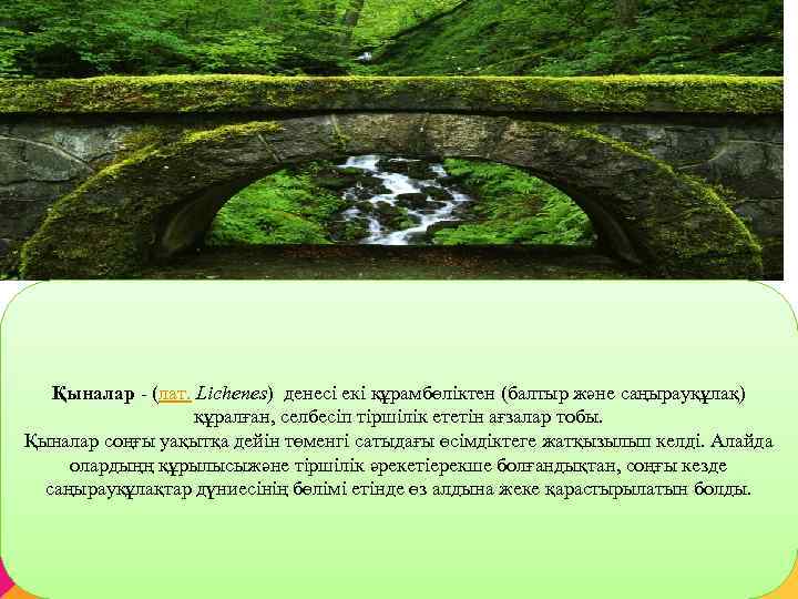 Қыналар - (лат. Lichenes) денесі екі құрамбөліктен (балтыр және саңырауқұлақ) құралған, селбесіп тіршілік ететін
