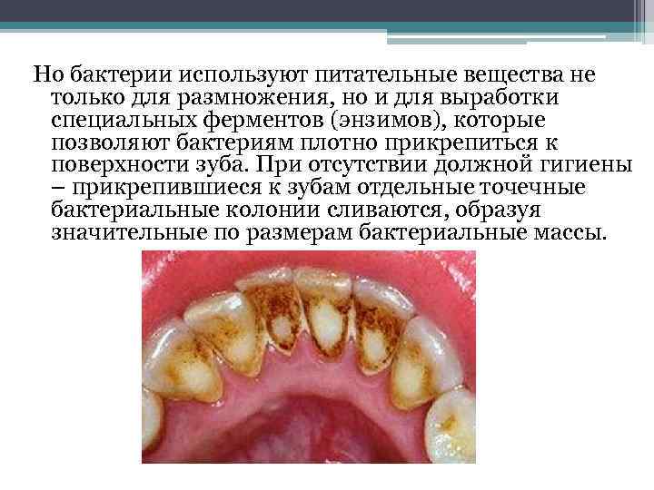 Но бактерии используют питательные вещества не только для размножения, но и для выработки специальных