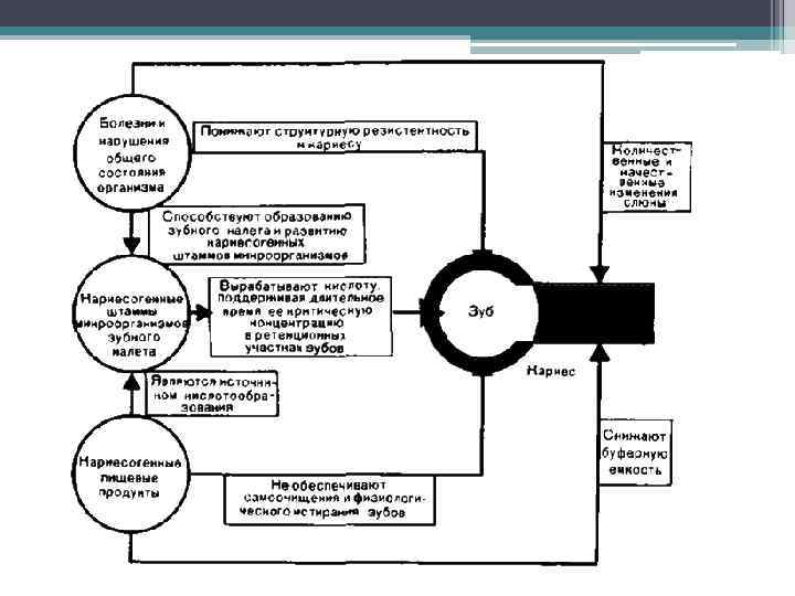 Патогенез кариеса схема