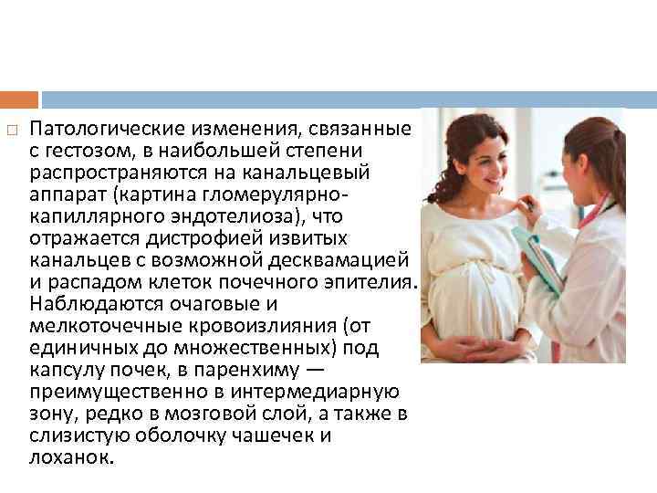  Патологические изменения, связанные с гестозом, в наибольшей степени распространяются на канальцевый аппарат (картина