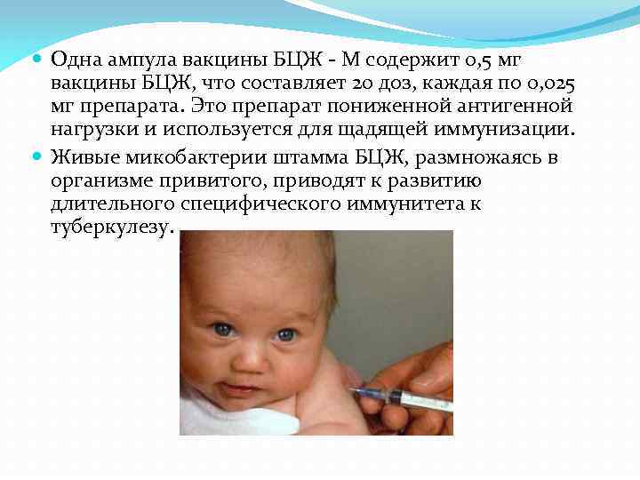  Одна ампула вакцины БЦЖ - М содержит 0, 5 мг вакцины БЦЖ, что