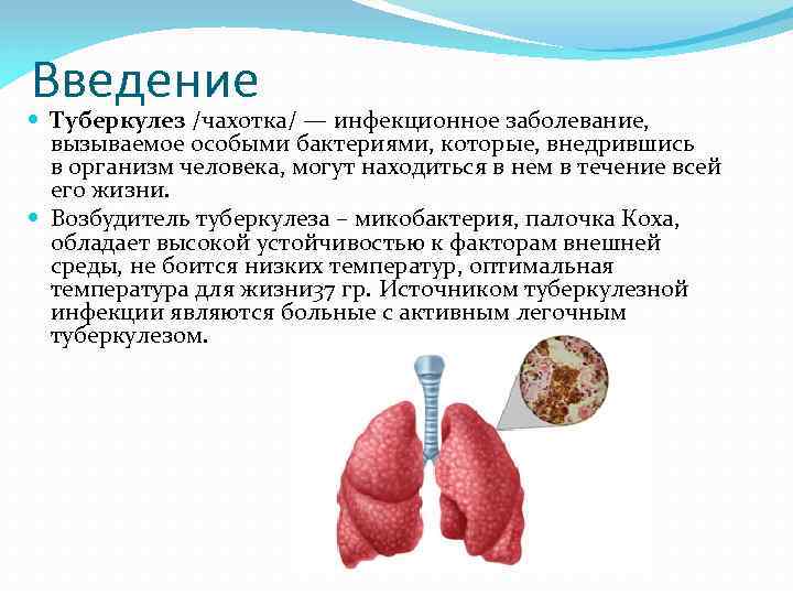 Введение Туберкулез /чахотка/ — инфекционное заболевание, вызываемое особыми бактериями, которые, внедрившись в организм человека,