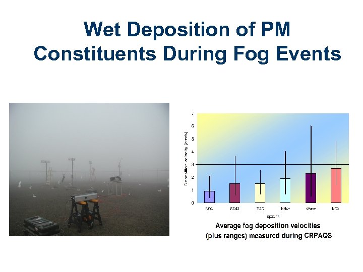 Wet Deposition of PM Constituents During Fog Events 