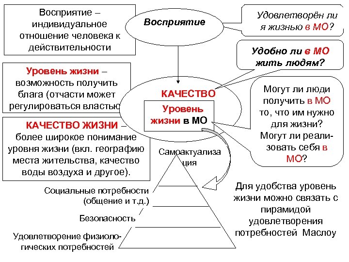Восприятие – индивидуальное отношение человека к действительности Уровень жизни – возможность получить блага (отчасти