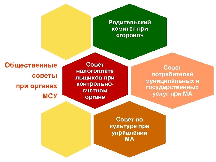 Родительский комитет при «гороно» Общественные советы при органах МСУ Совет налогоплате льщиков при контрольносчетном