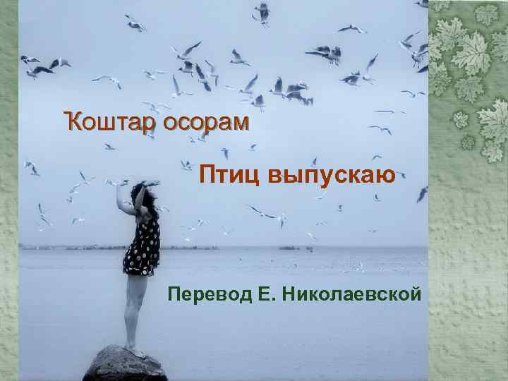 Ҡоштар осорам Птиц выпускаю Перевод Е. Николаевской 