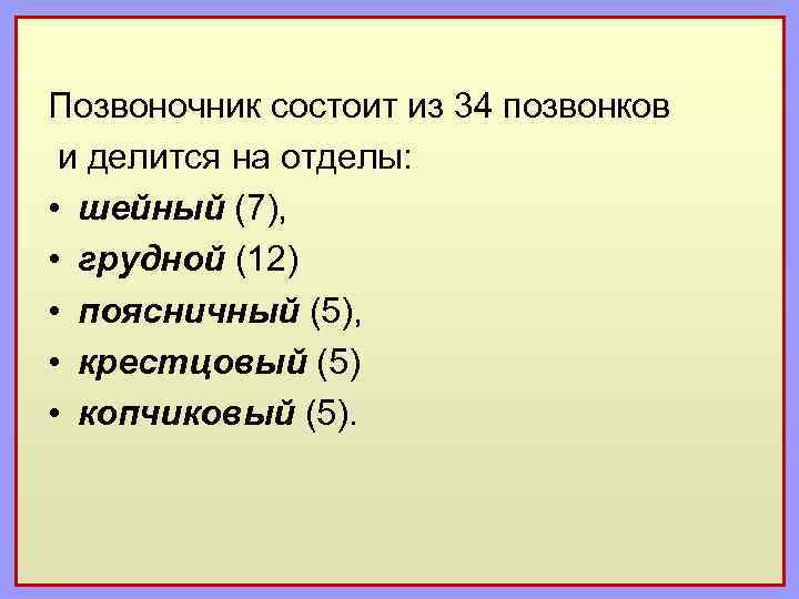 Позвоночник состоит из 34 позвонков и делится на отделы: • шейный (7), • грудной