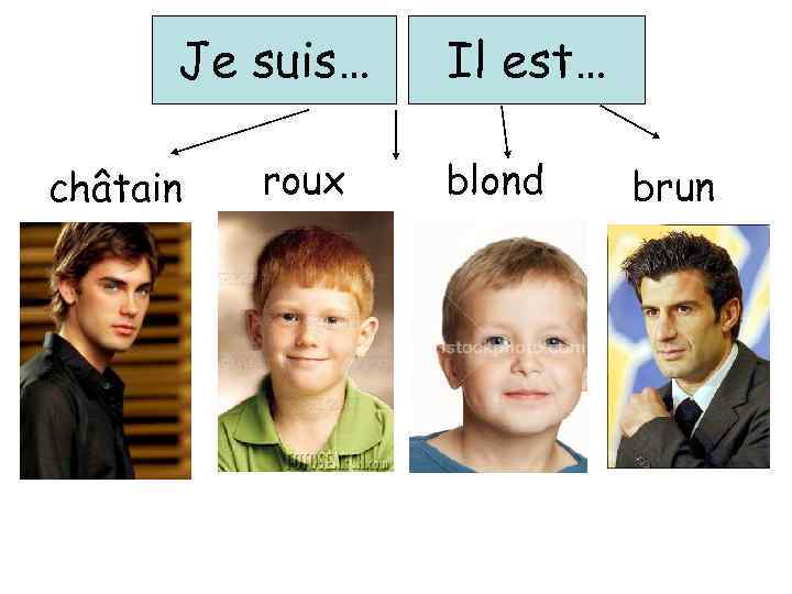 Je suis… châtain roux Il est… blond brun 