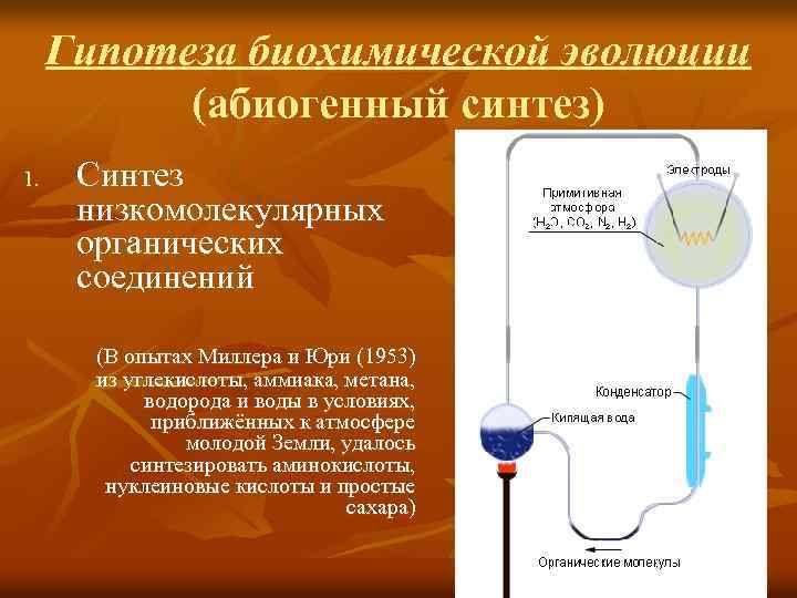 Гипотеза биохимической эволюции (абиогенный синтез) 1. Синтез низкомолекулярных органических соединений (В опытах Миллера и