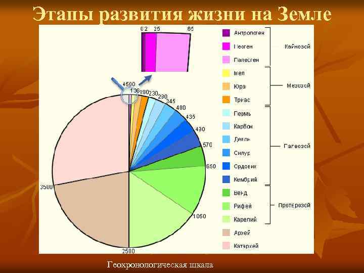 Этапы развития жизни на Земле Геохронологическая шкала 