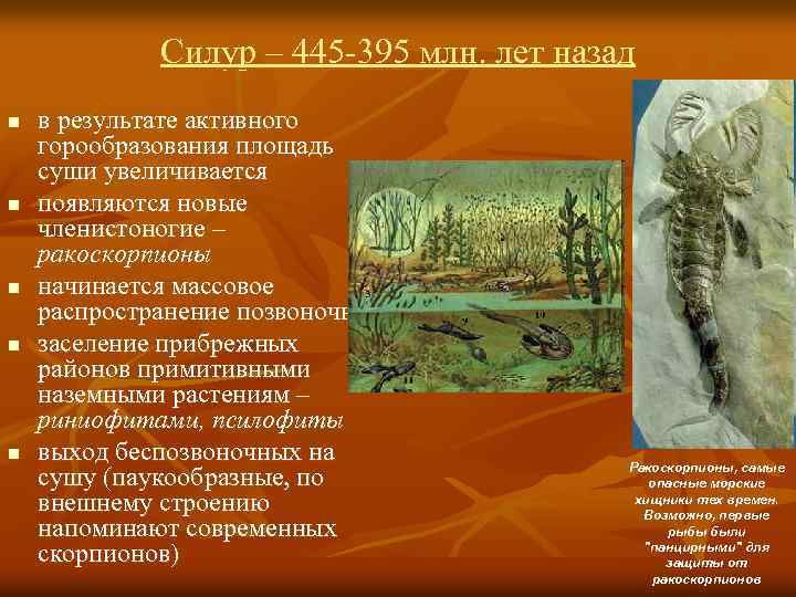 Силур – 445 -395 млн. лет назад n n n в результате активного горообразования