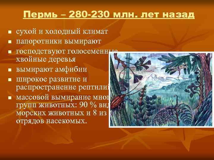 Млн лет назад. 230 Миллионов лет назад. 230 Млн лет назад. Древние хвойные деревья 20 млн лет назад. 250 Млн лет назад изменение климата.