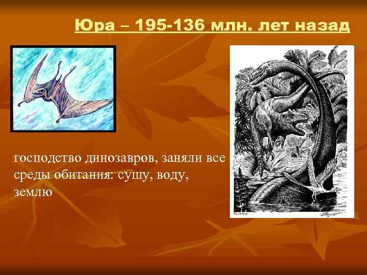 Юра – 195 -136 млн. лет назад господство динозавров, заняли все среды обитания: сушу,