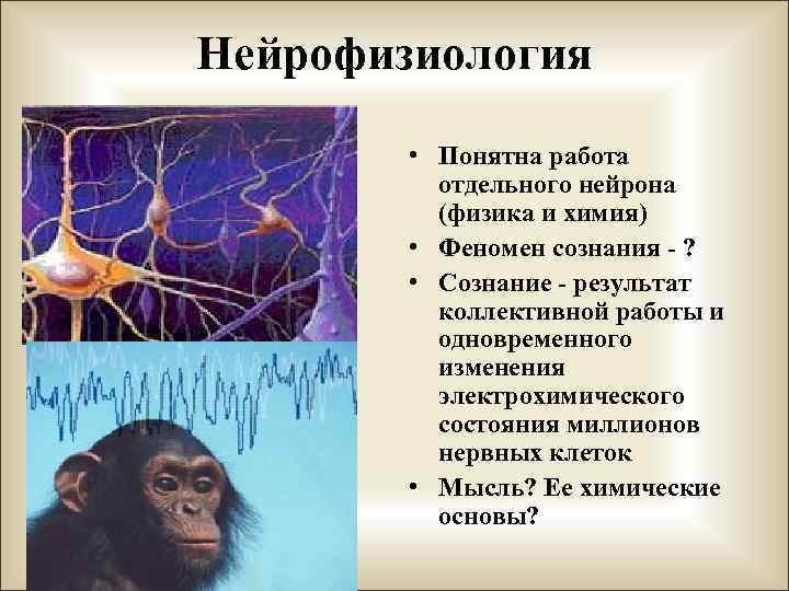 Нейрофизиология • Понятна работа отдельного нейрона (физика и химия) • Феномен сознания - ?