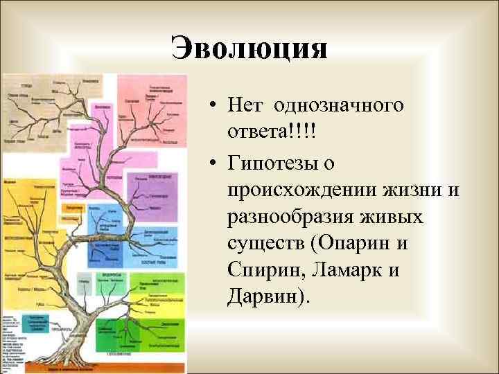 Эволюция • Нет однозначного ответа!!!! • Гипотезы о происхождении жизни и разнообразия живых существ