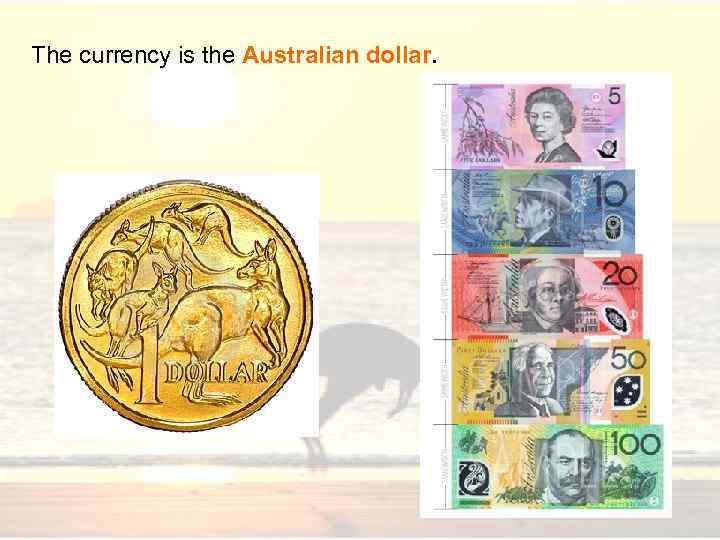 The currency is the Australian dollar. 