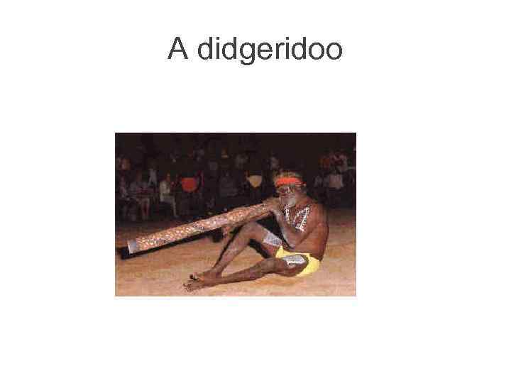 A didgeridoo 