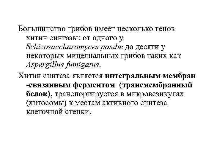 Большинство грибов имеет несколько генов хитин синтазы: от одного у Schizosaccharomyces pombe до десяти