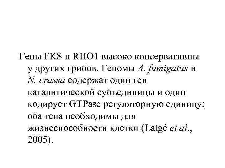 Гены FKS и RHO 1 высоко консервативны у других грибов. Геномы A. fumigatus и