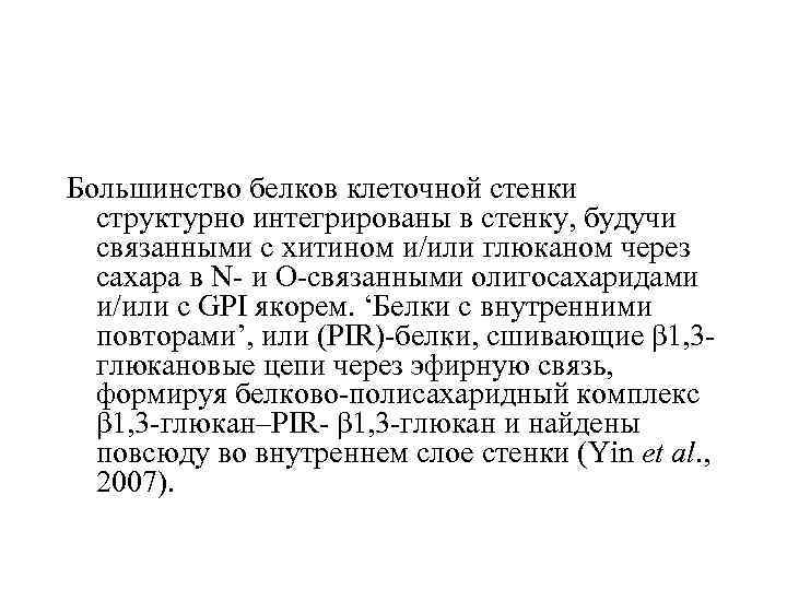 Большинство белков клеточной стенки структурно интегрированы в стенку, будучи связанными с хитином и/или глюканом