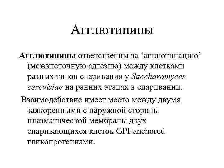 Агглютинины ответственны за ‘агглютинацию’ (межклеточную адгезию) между клетками разных типов спаривания у Saccharomyces cerevisiae