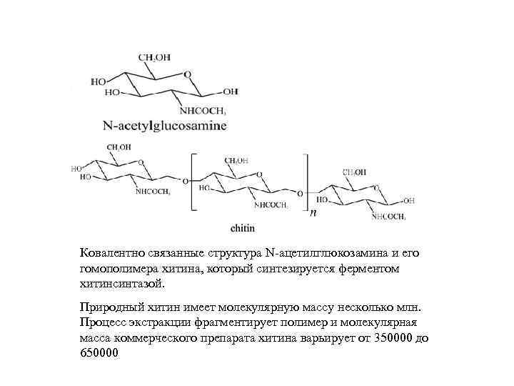 Ковалентно связанные структура N-ацетилглюкозамина и его гомополимера хитина, который синтезируется ферментом хитинсинтазой. Природный хитин