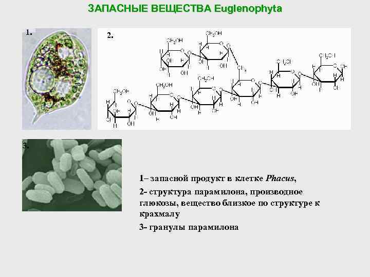 Запасные вещества находятся в