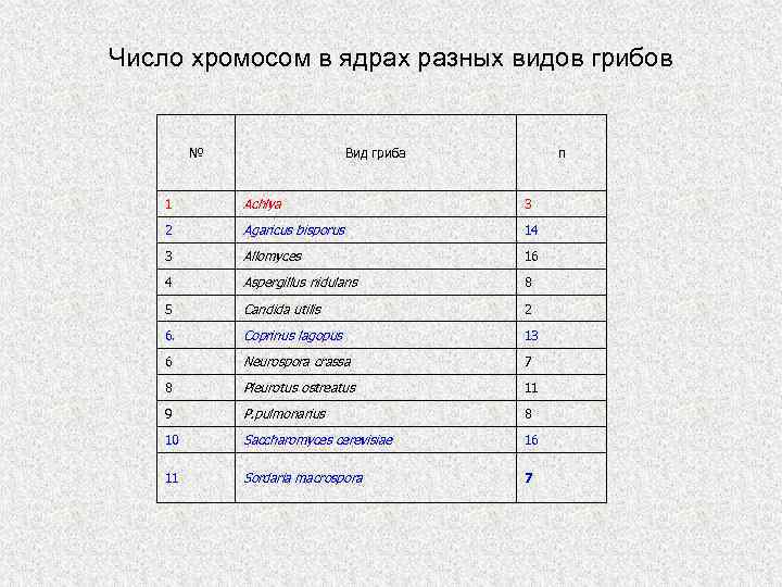 Число хромосом в ядре. Количество хромосом у грибов. Сколько хромосом у гриба. Набор хромосом у грибов. Число хромосом у грибов.