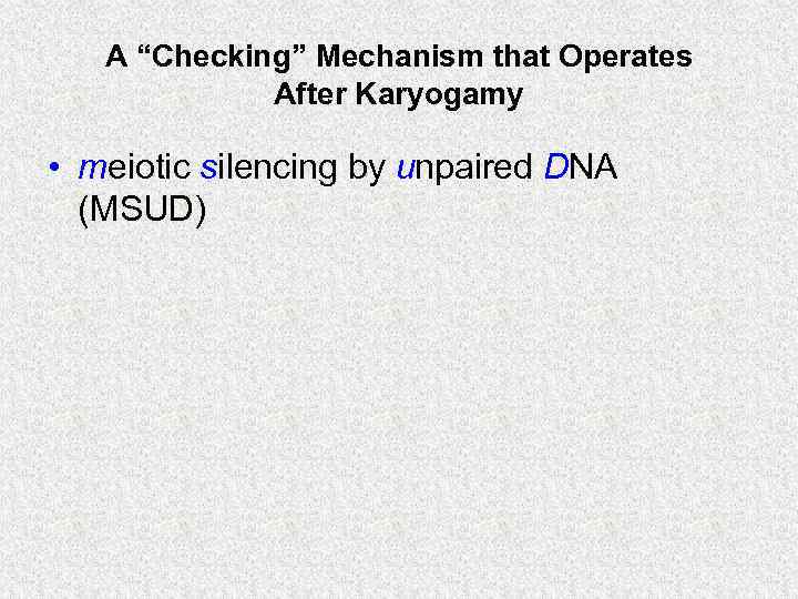 A “Checking” Mechanism that Operates After Karyogamy • meiotic silencing by unpaired DNA (MSUD)