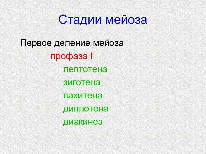 Стадии мейоза Первое деление мейоза профаза I лептотена зиготена пахитена диплотенa диакинез 