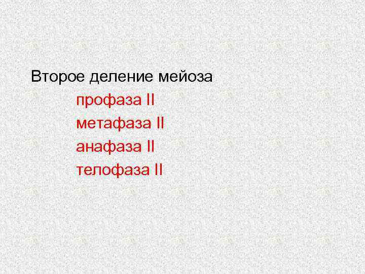 Второе деление мейоза профаза II метафаза II анафаза II телофаза II 