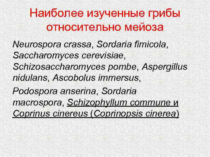 Наиболее изученные грибы относительно мейоза Neurospora crassa, Sordaria fimicola, Saccharomyces cerevisiae, Schizosaccharomyces pombe, Aspergillus