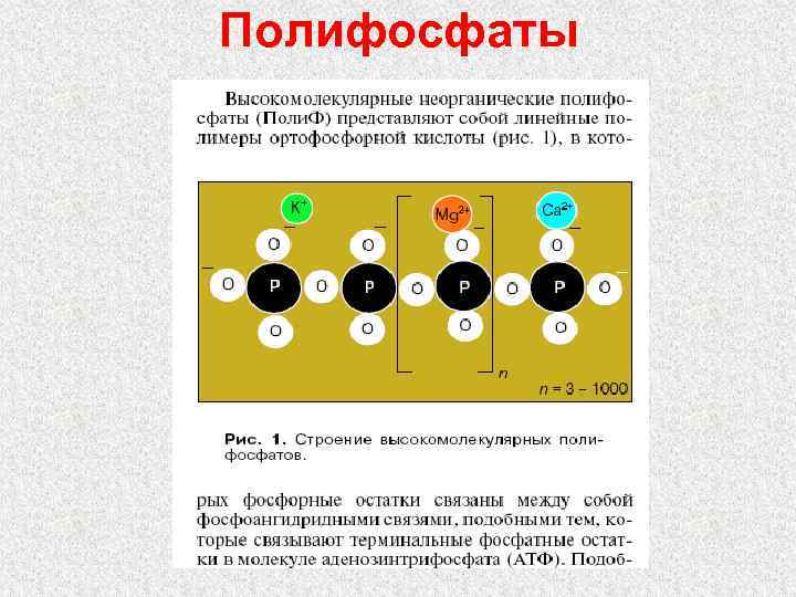 Полифосфаты 