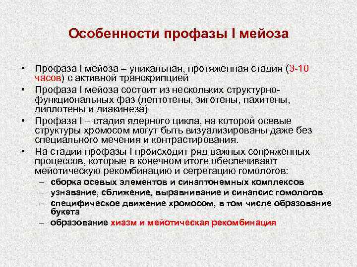 Мейоз характеристика. Особенности профазы мейоза 1. Особенности профазы. Особенности профазы мейоза. Профаза мейоза характеристика.