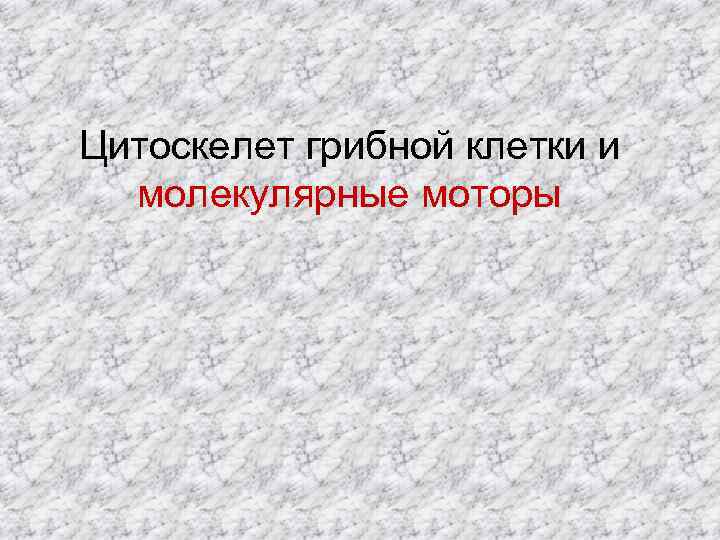 Цитоскелет грибной клетки и молекулярные моторы 