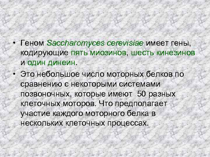  • Геном Saccharomyces cerevisiae имеет гены, кодирующие пять миозинов, шесть кинезинов и один