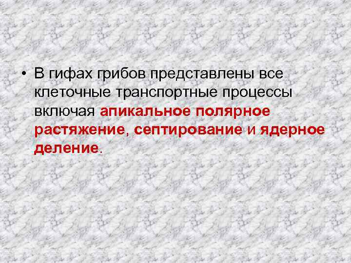  • В гифах грибов представлены все клеточные транспортные процессы включая апикальное полярное растяжение,