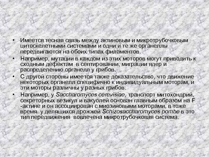  • Имеется тесная связь между актиновым и микротрубочковым цитоскелетными системами и одни и