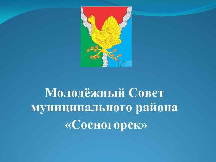 Молодёжный Совет муниципального района «Сосногорск» 