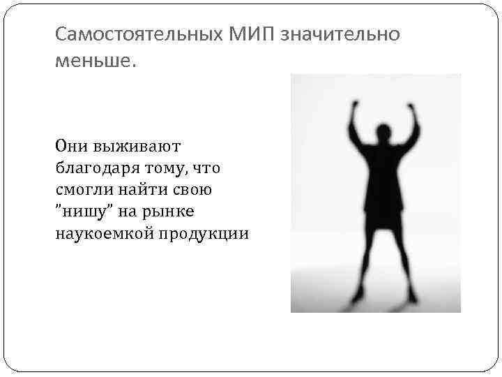 Самостоятельных МИП значительно меньше. Они выживают благодаря тому, что смогли найти свою ”нишу” на