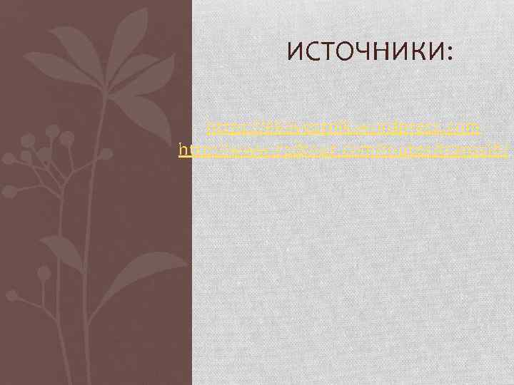 ИСТОЧНИКИ: https: //ekovestnik. wordpress. com http: //www. rzdtour. com/routes/transsib/ 