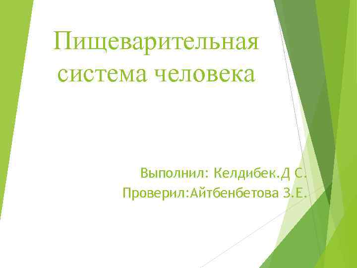 Пищеварительная система человека Выполнил: Келдибек. Д С. Проверил: Айтбенбетова З. Е. 