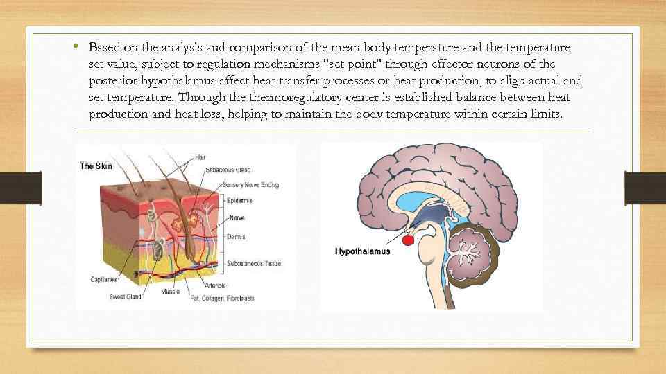  • Based on the analysis and comparison of the mean body temperature and
