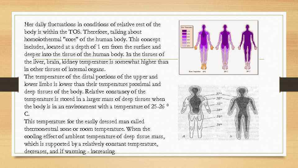 Her daily fluctuations in conditions of relative rest of the body is within the