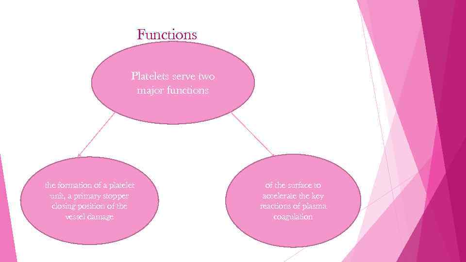 Functions Platelets serve two major functions the formation of a platelet unit, a primary